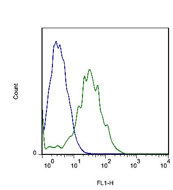 Flow Cytometry (Intracellular) - Anti-FLRT3 antibody (AB214188)