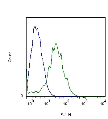 Flow Cytometry (Intracellular) - Anti-FLRT3 antibody (AB214188)