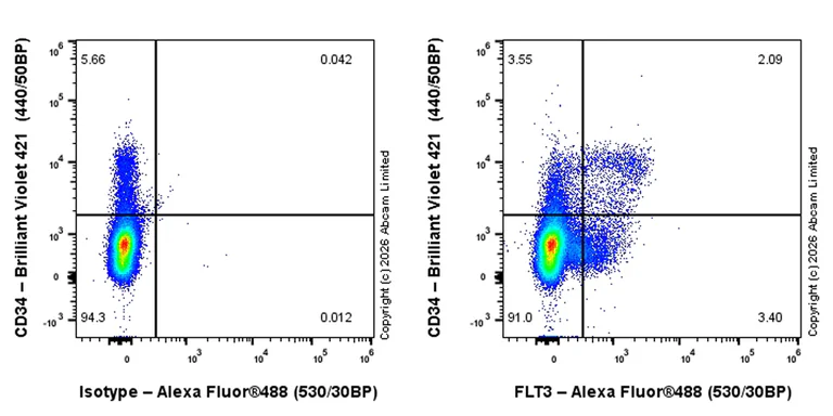 Flow Cytometry - Anti-FLT3 antibody [EPR31042-508] (AB326875)