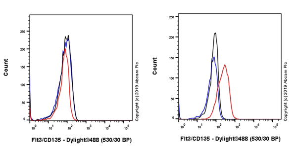 Flow Cytometry - Anti-Flt3 / CD135 antibody [EPR22232-403] (AB245840), expandable thumbnail