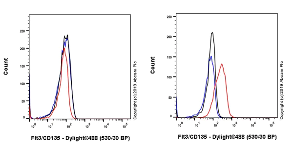 Flow Cytometry - Anti-Flt3 / CD135 antibody [EPR22232-403] - BSA and Azide free (AB245985)
