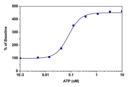 Cellular Activity - Fluo-4 Assay Kit (Calcium) (AB228555), expandable thumbnail