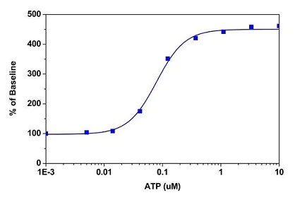 Cellular Activity - Fluo-4 Assay Kit (Calcium) (AB228555)