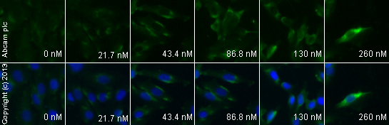 Functional Studies - Fluoxetine hydrochloride, 5-HT reuptake inhibitor (AB120077)