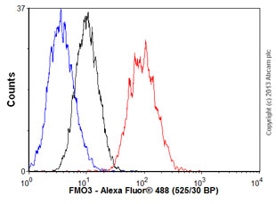 Flow Cytometry (Intracellular) - Anti-FMO3 antibody [EPR6967] (AB126790)