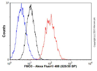 Flow Cytometry (Intracellular) - Anti-FMO3 antibody [EPR6967] - BSA and Azide free (AB248186)
