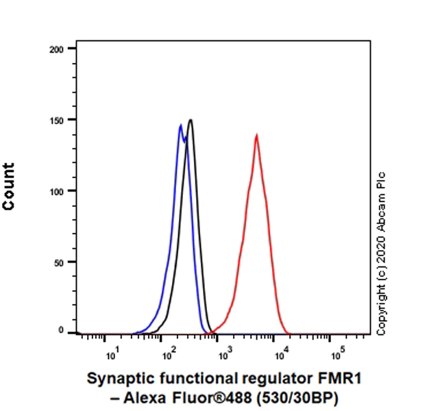 Flow Cytometry (Intracellular) - Anti-FMRP antibody [EPR23852-90] - BSA and Azide free (AB277489)
