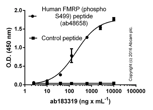 ELISA - Anti-FMRP (phospho S499) antibody (AB183319)