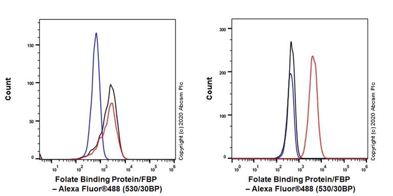 Flow Cytometry - Anti-Folate Binding Protein/FBP antibody [EPR23387-276] - BSA and Azide free (AB273159)