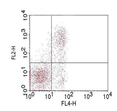 Flow Cytometry - Anti-Folate Receptor 4 antibody [TH6] (AB228451), expandable thumbnail