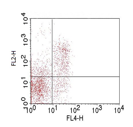 Flow Cytometry - Anti-Folate Receptor 4 antibody [TH6] (AB228451), expandable thumbnail
