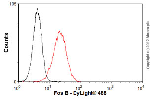 Flow Cytometry - Anti-Fos B antibody [83B1138] (AB11959), expandable thumbnail