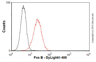 Flow Cytometry - Anti-Fos B antibody [83B1138] (AB11959)