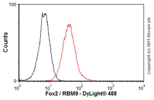 Flow Cytometry - Anti-Fox2 / RBM9 antibody [4G3] (AB57154)