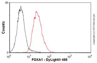 Anti-FOXA1 antibody [1B1]