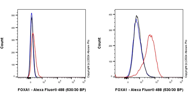 Flow Cytometry (Intracellular) - Anti-FOXA1 antibody [RM1119] - BSA and Azide free (AB317047)