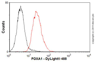 Flow Cytometry - Anti-FOXA1 + FOXA2 + FOXA3 antibody [1B1] (AB55178)