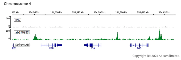 ChIC/CUT&RUN sequencing - Anti-FOXA1 + FOXA2 + FOXA3 antibody [EPR10881] (AB170933)