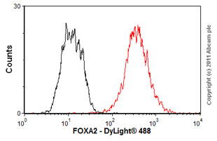 Flow Cytometry - Anti-FOXA2 antibody [7E6] - BSA and Azide free (AB60721), expandable thumbnail