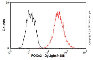 Flow Cytometry - Anti-FOXA2 antibody [7E6] - BSA and Azide free (AB60721)