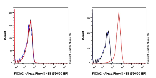 Flow Cytometry (Intracellular) - Anti-FOXA2 antibody [EPR22919-71] - ChIP Grade - BSA and Azide free (AB259272)