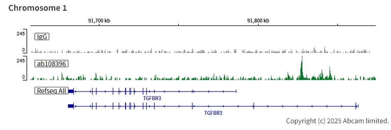 ChIC/CUT&RUN sequencing - Anti-FOXA2 antibody [EPR4465] - ChIP Grade (AB108396)