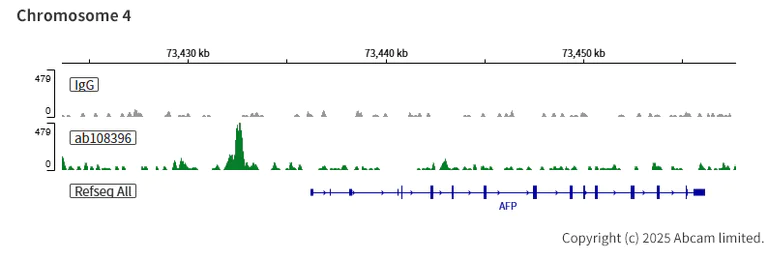 ChIC/CUT&RUN sequencing - Anti-FOXA2 antibody [EPR4465] - ChIP Grade (AB108396)