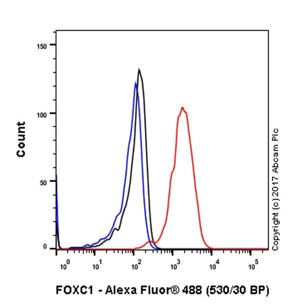 Flow Cytometry (Intracellular) - Anti-FOXC1 antibody [EPR20678] - BSA and Azide free (AB230157)