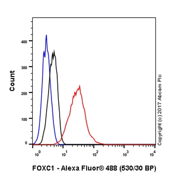 Flow Cytometry (Intracellular) - Anti-FOXC1 antibody [EPR20685] - BSA and Azide free (AB230159)