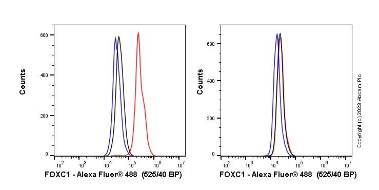 Flow Cytometry (Intracellular) - Anti-FOXC1 antibody [EPR20685] - BSA and Azide free (AB230159)