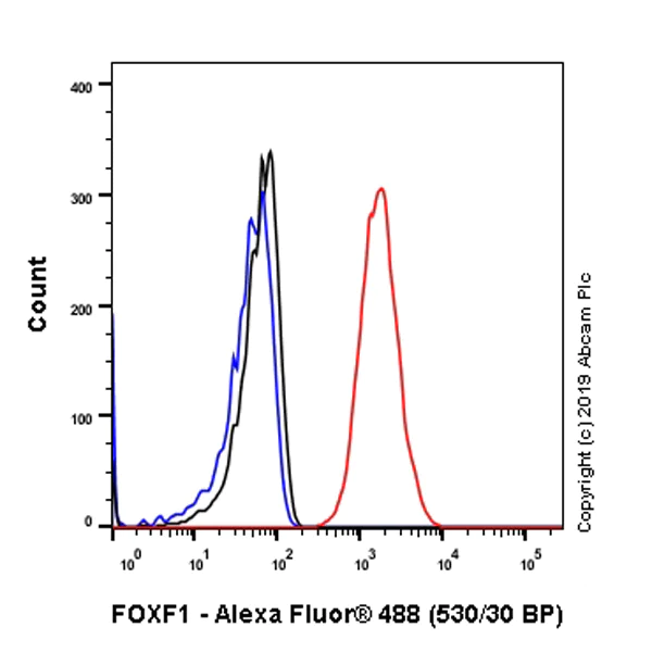 Flow Cytometry (Intracellular) - Anti-FOXF1 antibody [EPR7971] - BSA and Azide free (AB240153)