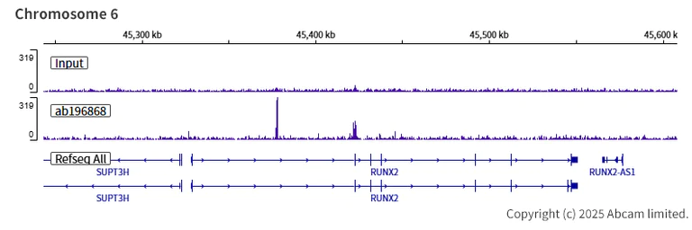 ChIP-sequencing - Anti-FOXG1 antibody [EPR18987] - BSA and Azide free (AB227888)