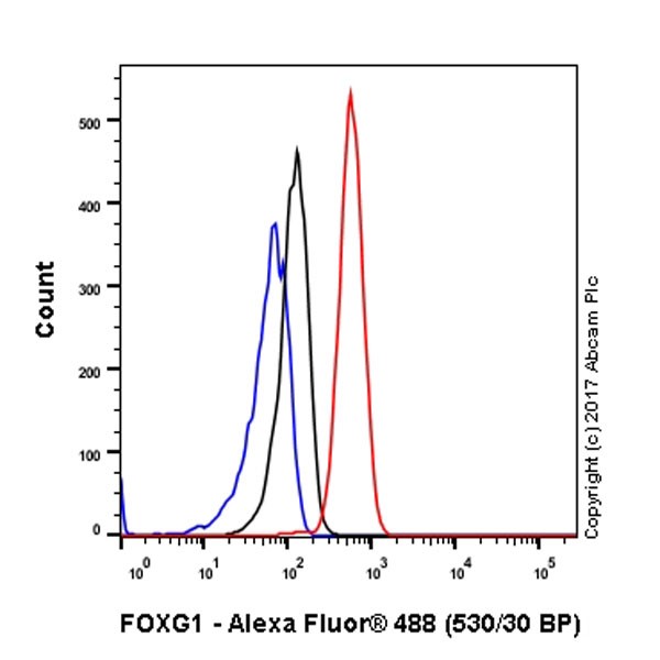 Flow Cytometry (Intracellular) - Anti-FOXG1 antibody [EPR18987] - BSA and Azide free (AB227888), expandable thumbnail