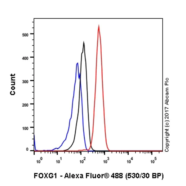 Flow Cytometry (Intracellular) - Anti-FOXG1 antibody [EPR18987] - BSA and Azide free (AB227888)