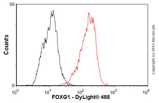 Flow Cytometry (Intracellular) - Anti-FOXG1 antibody [mAbcam 51774] (AB51774)