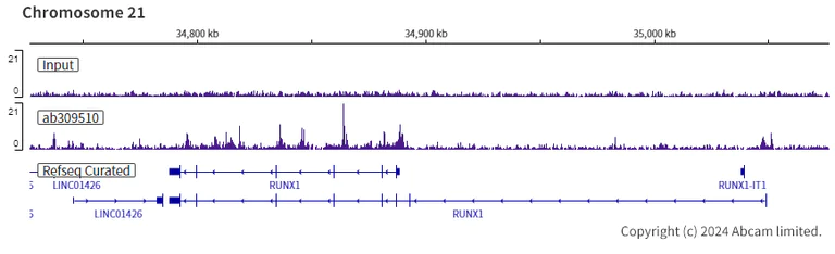 ChIP-sequencing - Anti-FOXK1/MNF antibody [EPR27320-65] (AB309510)