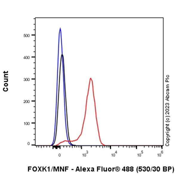 Flow Cytometry (Intracellular) - Anti-FOXK1/MNF antibody [EPR27320-65] - BSA and Azide free (AB309511)