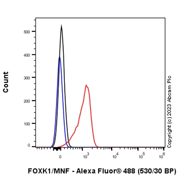 Flow Cytometry (Intracellular) - Anti-FOXK1/MNF antibody [EPR27320-65] - BSA and Azide free (AB309511)