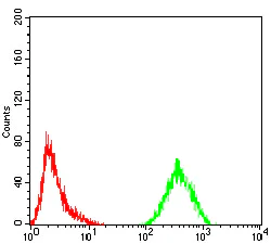 Flow Cytometry - Anti-FOXM1 antibody [6F11A8] (AB234077)