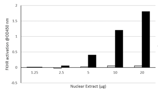 Functional Studies - FOXO1 Transcription Factor Assay Kit (Colorimetric) (AB207204)