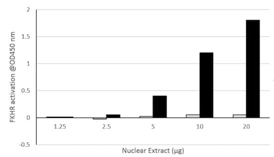 Functional Studies - FOXO1 Transcription Factor Assay Kit (Colorimetric) (AB207204)
