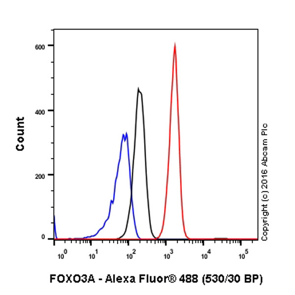 Flow Cytometry (Intracellular) - Anti-FOXO3A antibody [EPR1950] - BSA and Azide free (AB232393)