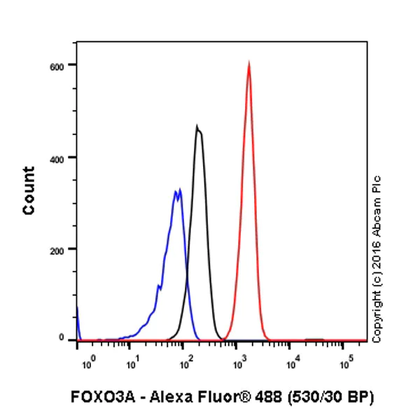 Flow Cytometry (Intracellular) - Anti-FOXO3A antibody [EPR1950] - BSA and Azide free (AB232393)