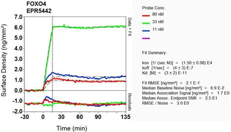 OI-RD Scanning - Anti-FOXO4/AFX antibody [EPR5442] (AB128908)