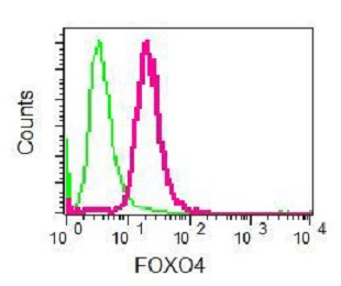 Flow Cytometry (Intracellular) - Anti-FOXO4/AFX antibody [EPR5442] - BSA and Azide free (AB232029), expandable thumbnail