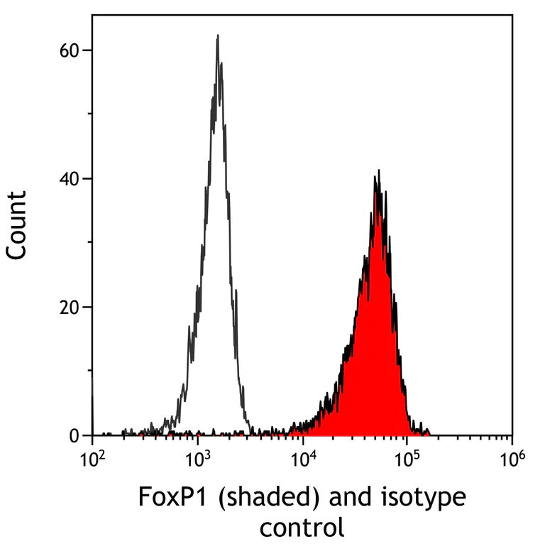Flow Cytometry - Anti-FOXP1 antibody [BLR134H] - BSA free (AB314052)