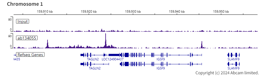 ChIP-sequencing - Anti-FOXP1 antibody [EPR4113] (ab134055), expandable thumbnail
