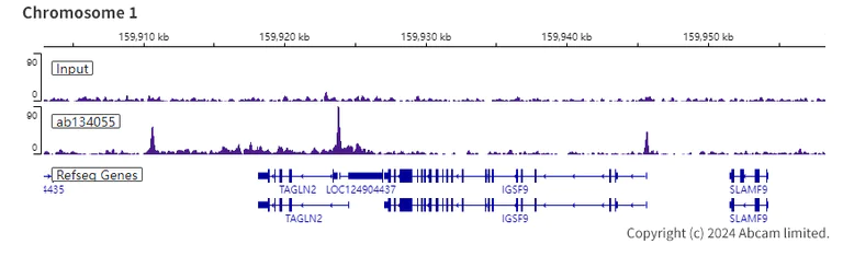 ChIP-sequencing - Anti-FOXP1 antibody [EPR4113] (AB134055)
