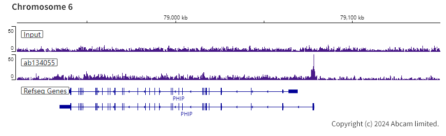 ChIP-sequencing - Anti-FOXP1 antibody [EPR4113] (ab134055), expandable thumbnail