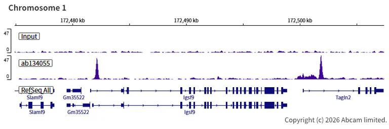 ChIP-sequencing - Anti-FOXP1 antibody [EPR4113] (AB134055)